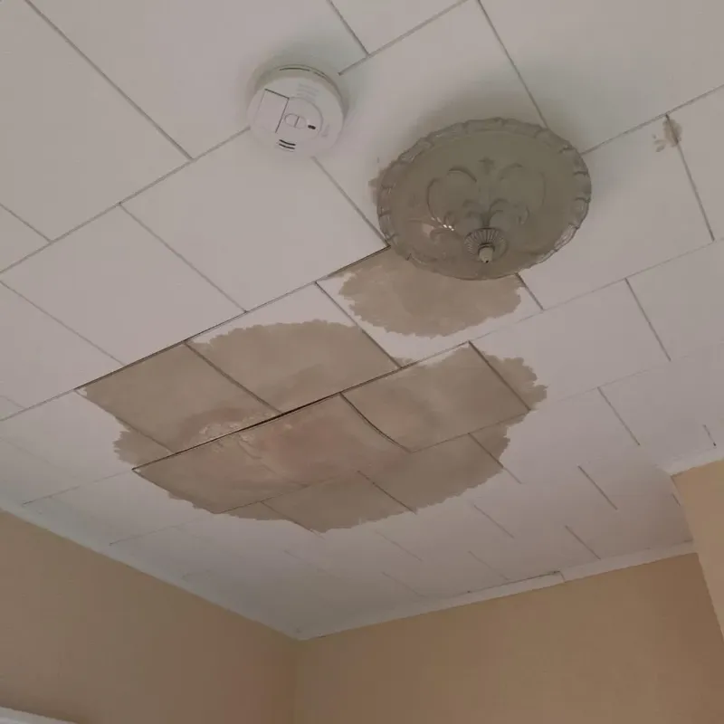 Ceiling Water Damage Repair in Dunklin County, MO